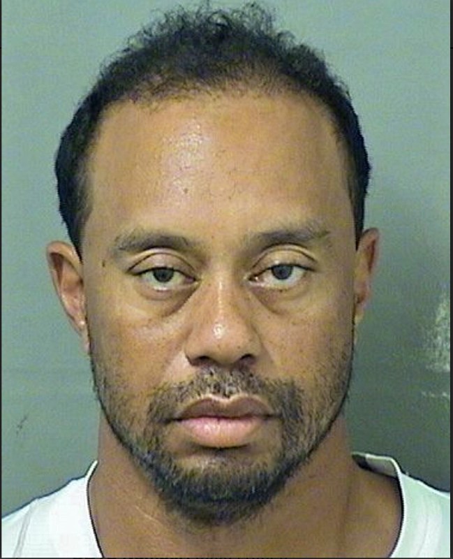 Tiger Woods DUI mugshot May 2017 